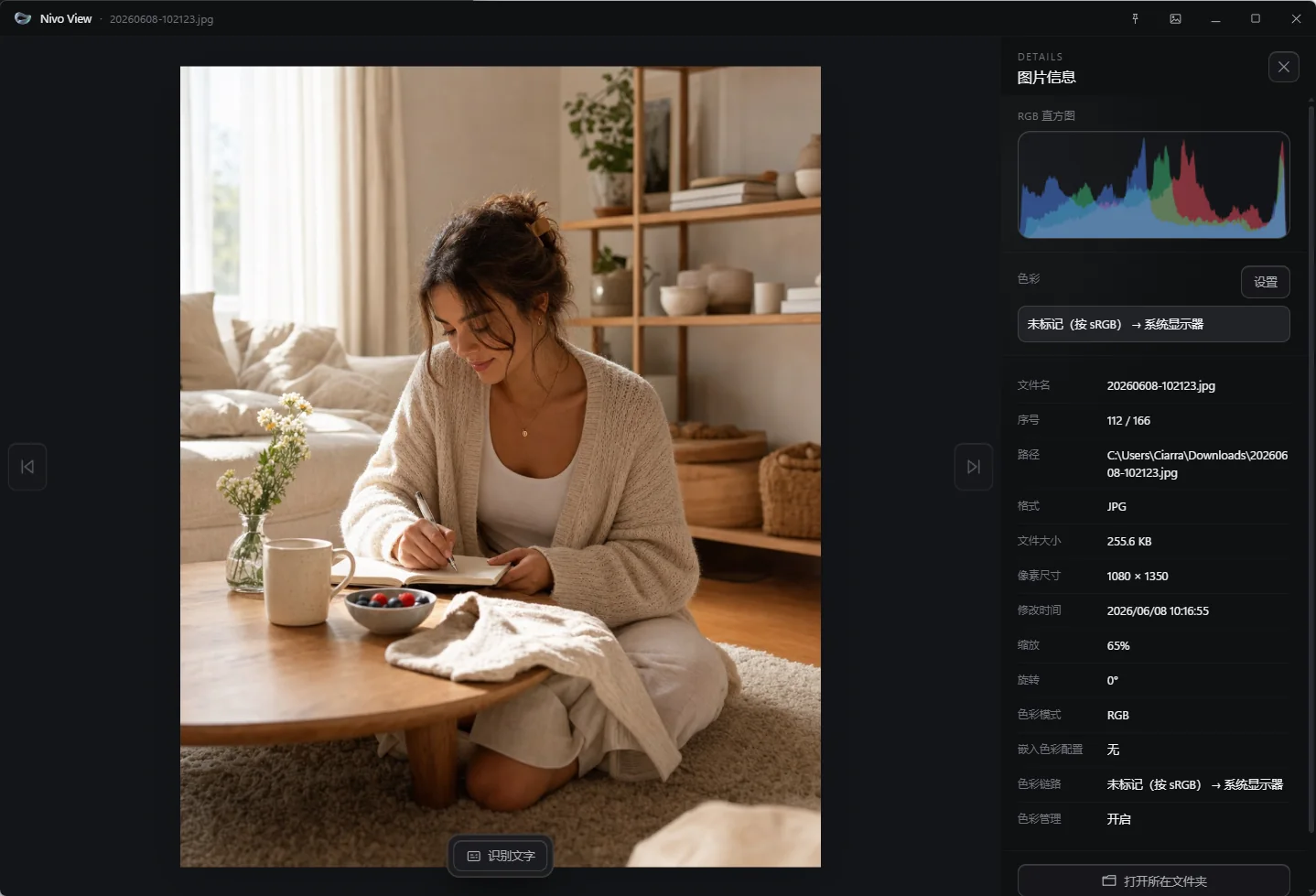 Nivo View 图片查看与文字识别界面